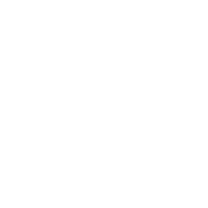 feature-item-2